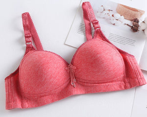 LILLY FULL CUP SUPPORT PLUS SIZE BRA